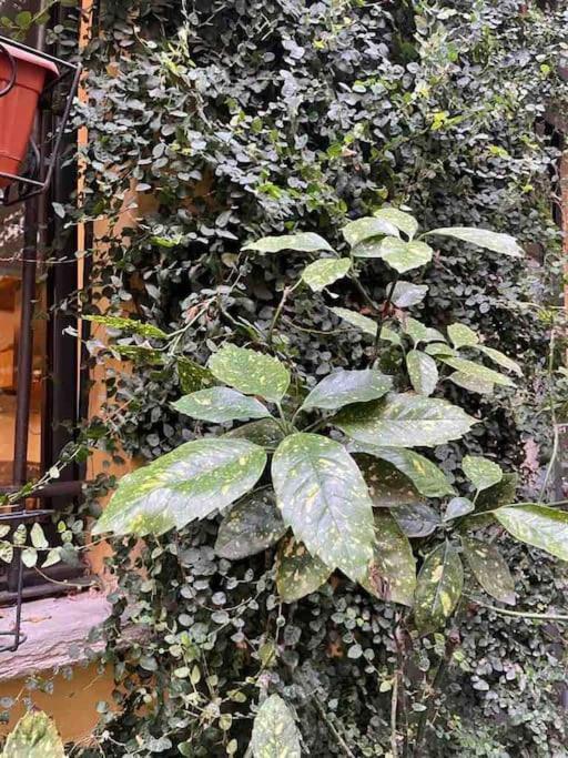 Loft Di Design Nel Cuore Di Milano ภายนอก รูปภาพ